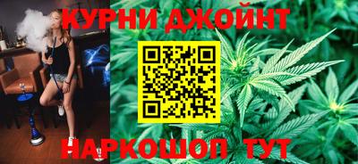 гидра Будённовск