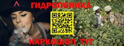 гидра Будённовск