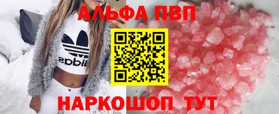 гидра Будённовск