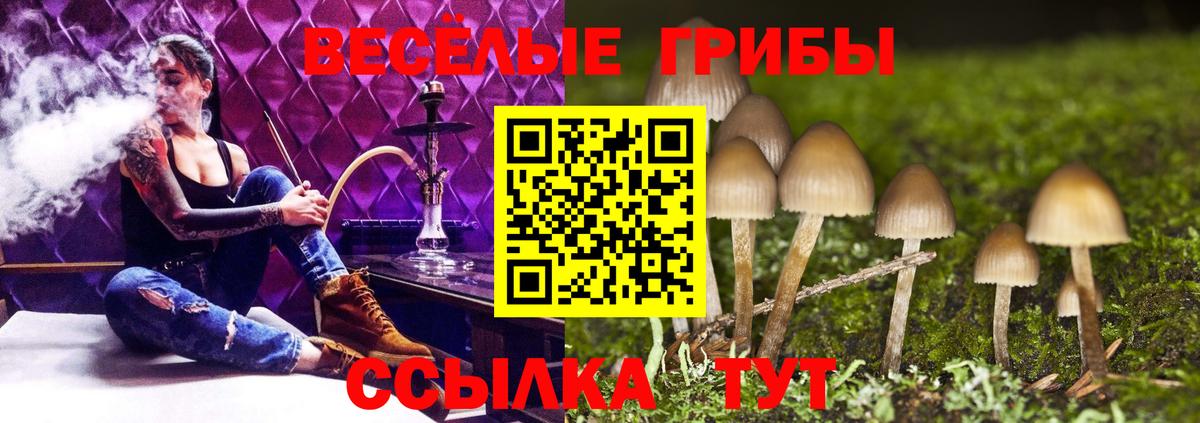 как найти   Галлюциногенные грибы мухоморы  Лабытнанги  Вход с VPN  Псилоцибиновые грибы GOLDEN TEACHER 